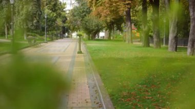 Sonbahar parkında, önünde bulanık ağaç dalları olan geniş, güneşli bir sokak. Güneşli bir günde yavaş çekimde güzel manzarayı gösteren canlı kamera.