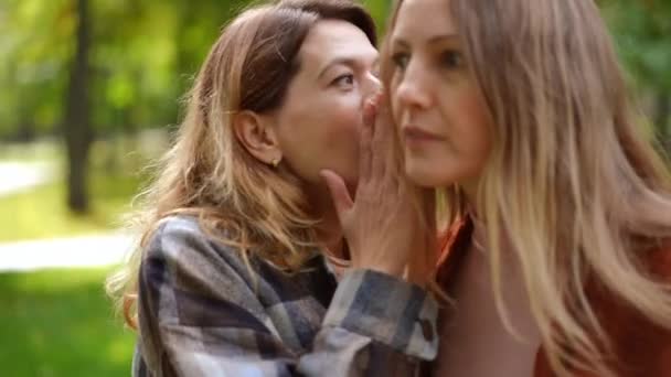 Rack Concentrer Femme Chuchotant Sur Oreille Curios Surpris Ami Écoute — Video