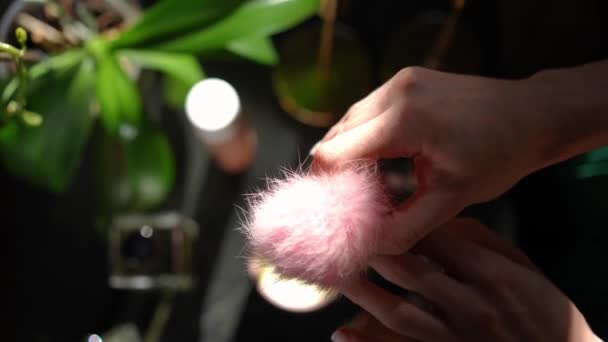햇살에 반지를 카프카스 광선을 분홍색 장식을 다움의 — 비디오