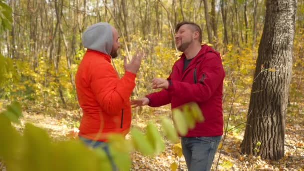 Meleg Pár Vitatkozik Napsütötte Erdőben Ahogy Férfi Elmegy Társa Keresztbe — Stock videók