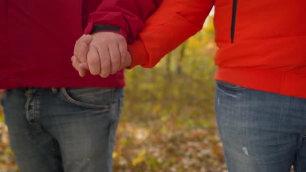 Homme Gay Méconnaissable Emportant Main Laissant Partenaire Seul Dans Parc — Video