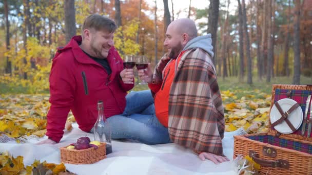 Iubitor Cuplu Gay Toasting Clinking Pahare Vin Roșu Care Bucură — Videoclip de stoc