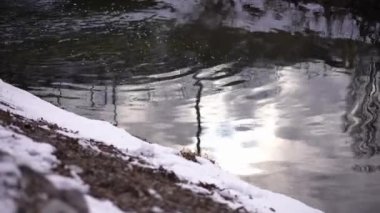 Cold river water flowing at coast with white snow and reflection of grey cloudy sky with sunshine. Close-up stream outdoors on spring morning with no people