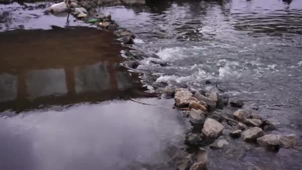 Mountain River Water Flowing Passing Rocks Outdoors Cloudy Overcast Day — Vídeo de Stock
