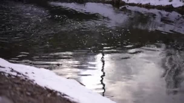 冬日的阳光反射在冰冷的河水中 岸上飘着雪 秋天里 外面静谧静谧的溪流 — 图库视频影像