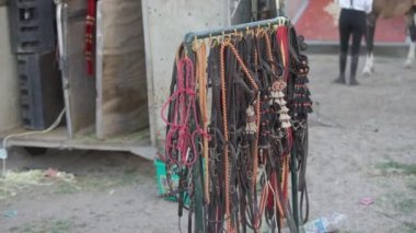 Bridles hanging outdoors on overcast summer spring day. Equipment for horse riding