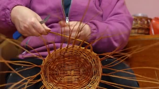 Hands Size Caucasian Woman Bending Strands Making Wicker Basket Unrecognizable — Vídeo de Stock