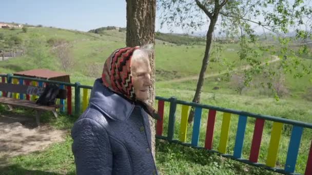 Στοχαστική Ευτυχισμένη Ηλικιωμένη Γυναίκα Στέκεται Ηλιόλουστη Μέρα Έξω Κοιτάζοντας Γύρω — Αρχείο Βίντεο