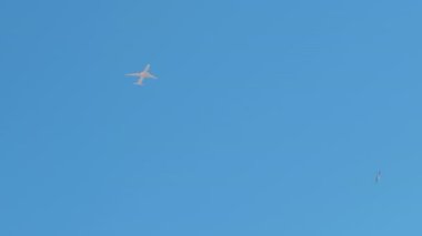 Eagle passing at cloudless sky with white airplane flying. Bottom view of aircraft outdoors in sunshine on sunny spring summer day
