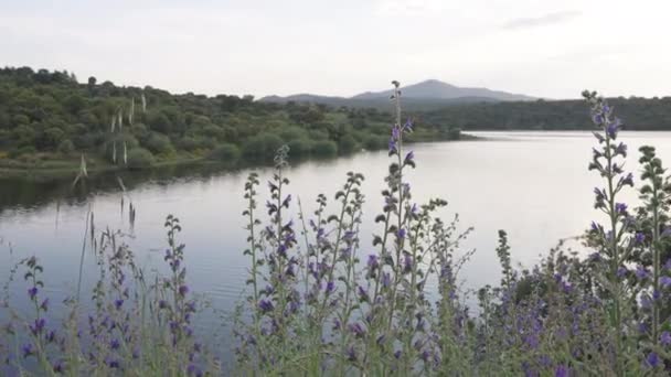 Wide Shot River Green Hills Blurred Mountain Background Calm Summer — Stock video