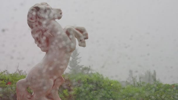 雨点倾泻在玻璃杯上 左边是马的雕像 左边是室外 在秋天的雨天 在塞浦路斯降下了特写雨滴 — 图库视频影像