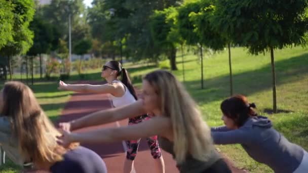 Fit Positif Pelatih Olahraga Berbicara Berolahraga Dengan Wanita Luar Ruangan — Stok Video