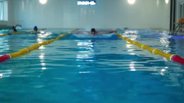 Vista Frontal Pista Piscina Com Desportista Motivado Nadando Câmera Lenta — Vídeo de Stock