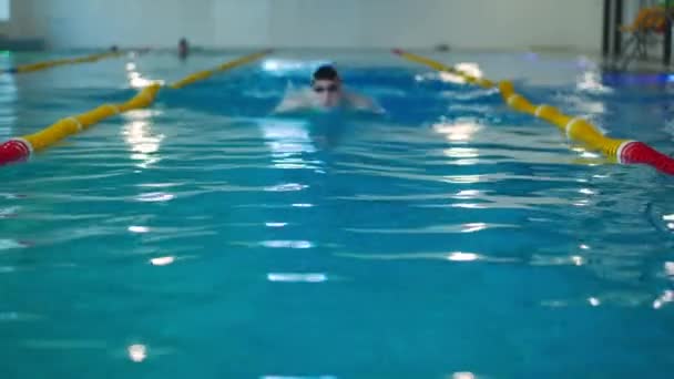 Vista Frontal Homem Caucasiano Nadando Peito Câmera Lenta Emergindo Mergulho — Vídeo de Stock