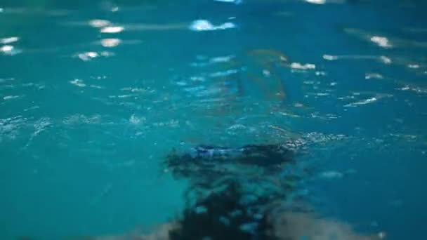 Água Azul Piscina Com Jovem Boné Óculos Emergindo Câmera Lenta — Vídeo de Stock