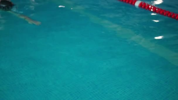 Piscina Vista Superior Faixa Com Jovem Nadador Caucasiano Passando Câmera — Vídeo de Stock