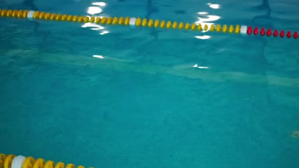 Canlı Kamera Yüzme Havuzu Boyunca Soldan Sağa Dönüyor Genç Yüzücü — Stok video