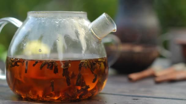 户外热饮茶壶 白种人女性手合瓶盖 难以辨认的女人在秋天的户外做美味的草茶 — 图库视频影像