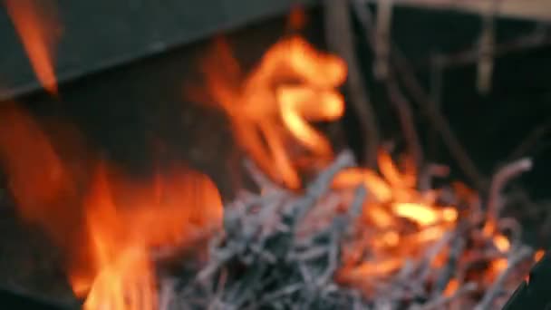 Close Barbecue Brand Met Vrouwelijke Hand Plaatsen Gehalveerde Marshmallow Spies — Stockvideo