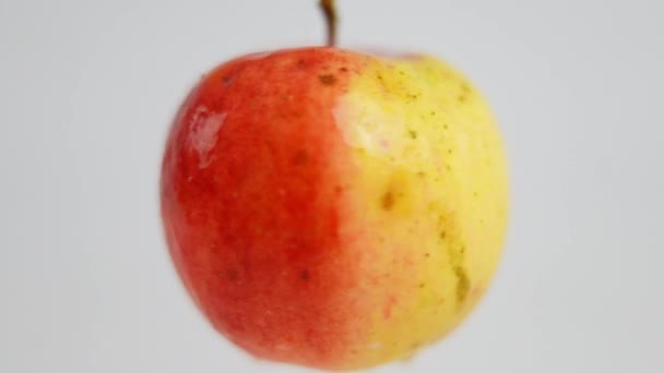 Zbliżenie Mokre Czerwone Żółte Jabłko Wirujące Zwolnionym Tempie Białym Tle — Wideo stockowe