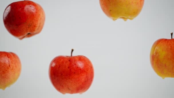 Pięć Smacznych Jabłek Wiszących Białym Tle Jednym Spadającym Owocem Zbliżenie — Wideo stockowe