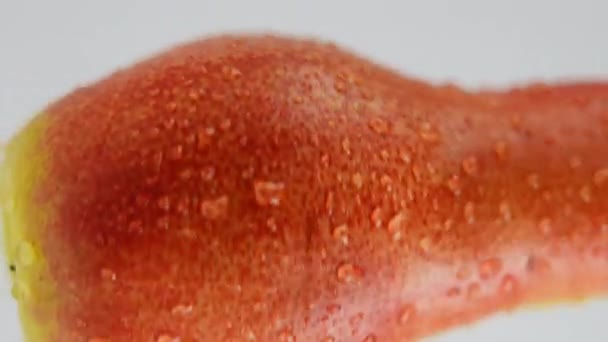 Extremo Close Molhado Pêra Girando Câmera Lenta Closeup Deliciosa Fruta — Vídeo de Stock