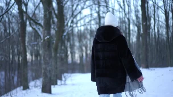 追踪拍摄到一个快乐而轻松的女人在冬季森林里旋转着散步的镜头 愉快而积极的白种人美丽的游客享受着早上度假的闲暇 慢动作 — 图库视频影像
