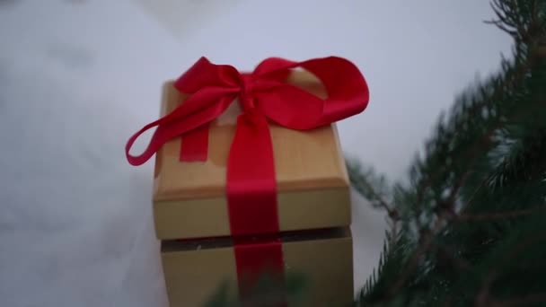 特写女性的手把新年贺卡放在礼品盒上 慢动作地离去 在户外白雪上准备圣诞惊喜的隐身女子 — 图库视频影像
