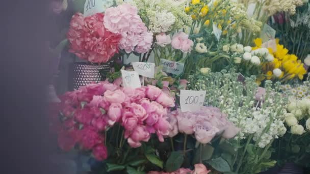 Diferentes Flores Detrás Escaparate Ventana Cristal Tienda Flores Variedad Ramos — Vídeos de Stock