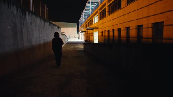 Πλάτη Άποψη Ευρύ Πλάνο Γυναικεία Σιλουέτα Βόλτα Στο Δρόμο Νύχτα — Αρχείο Βίντεο