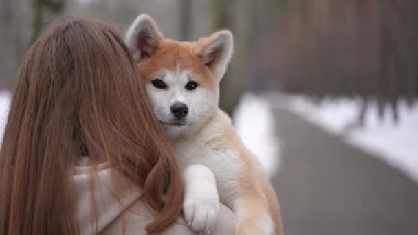 Câmera Vivo Segue Jovem Mulher Com Cão Ombro Andando Parque — Vídeo de Stock