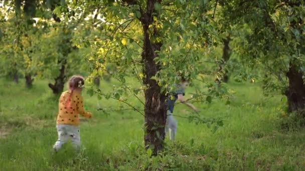 夏の庭で木の周りを走り回る陽気な少年と少女は大声で笑った ワイドショット幸せな喜びのコーカサス兄弟と姉妹は 屋外で春の日に楽しんでいました — ストック動画