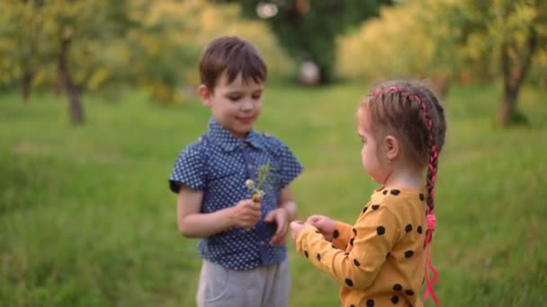 小女孩把花传给男孩 男孩收集花束 拥抱朋友 在室外的夏季花园公园里 白种人迷人的小女友和男朋友约会 — 图库视频影像