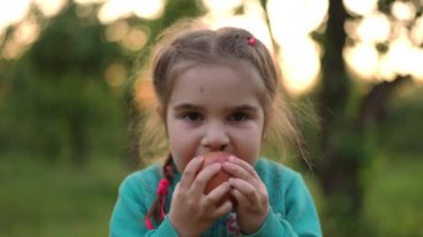 Yakın plan odaklı aç, iri yarı, ısıran lezzetli bir elma. Beyaz tenli, konsantre bir çocuğun, yaz bahçesinde dikilmiş lezzetli meyveler yiyen portresi.