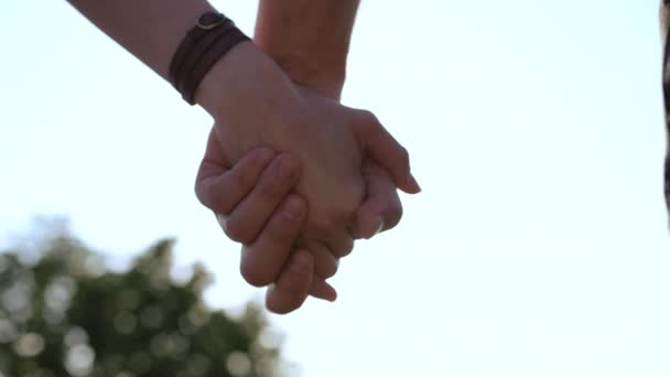 Close Hands Young Couple Rear View Happy Couple Holding Hands — Stock Video