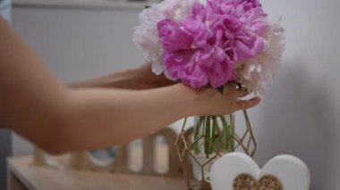 Bir kız, modern bir oturma odasındaki ahşap bir komodinin üzerine pembe ve beyaz şakayıkları cam bir vazoya koyar. Uzun, siyah saçlı bir kız eğiliyor ve çiçekleri kokluyor. Yakın plan..