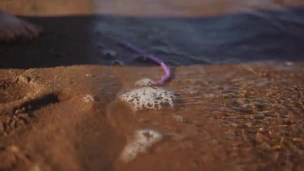 Een Close Een Roze Gebruikt Cocktail Stro Wordt Het Water — Stockvideo