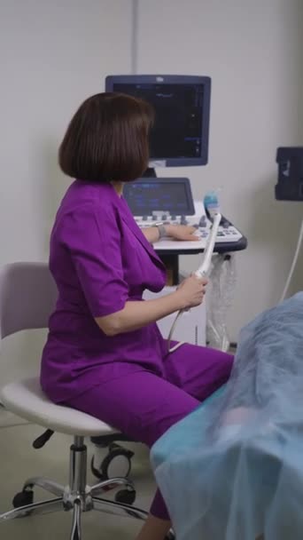 Vertical Video Ultrasound Pelvic Organs Woman Ultrasound Specialist Purple Medical Videoclip de stoc fără drepturi de autor
