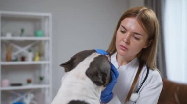 Sadık bir veteriner steteskopuyla bir kediyi muayene eder, sonra nazikçe bir köpeğin burnunu inceler, sıcak bir atmosferde özen ve uzmanlığını gösterir.