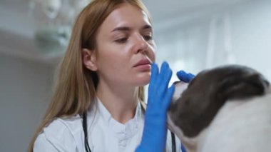 Bu videoda, kadın doktor ve veterinerler de dahil olmak üzere özel sağlık uzmanlarının hayati muayeneler yaptığı ve hastaların sağlığına olan bağlılıklarını gösterdikleri vurgulanıyor.