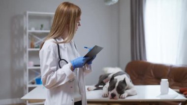 Kendini adamış bir kadın veteriner muayene masasında rahat bir şekilde uzanan bir köpek, veterinerlik hizmetinin önemini ve ilgili ilişkilerini gözler önüne sererken bir panoyu kontrol eder.