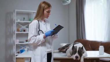 Bu iç açıcı videoda, kendini adamış bir veteriner, köpeğini özenle muayene ediyor, profesyonelliğini ve şefkatini gösterirken, veterinerlerin hayvan sağlığındaki rolünü vurguluyor.