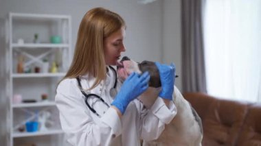 Bu videoda, kendini adamış bir kadın veteriner bir köpeğe tutkuyla değer veriyor, gözlerini inceliyor ve steteskop kullanıyor, bağlılığını gösteriyor.