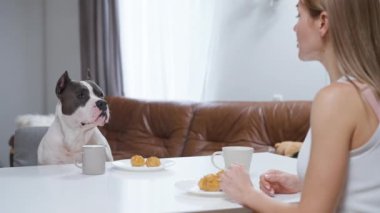 Sıcak bir ortamda, bir kadın köpeğiyle keyifli bir sabah geçirir, yeni pişmiş kruvasanların tadını çıkarır, bağlarını ön plana çıkarır.