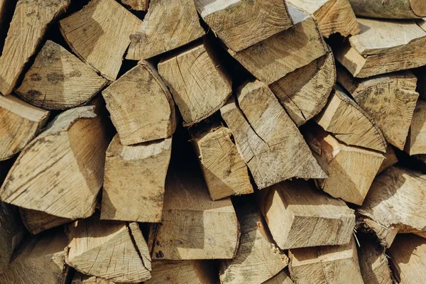 Stocks Beech Firewood Winter — Stock Photo, Image