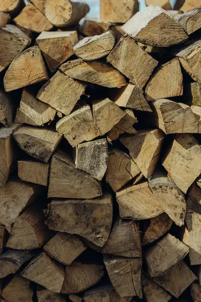 Stocks Beech Firewood Winter — Stock Photo, Image