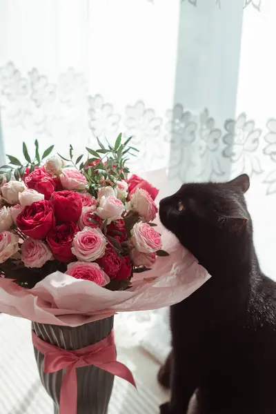 Siyah kedi gül buketini kokluyor.