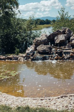 Parktaki küçük gölet