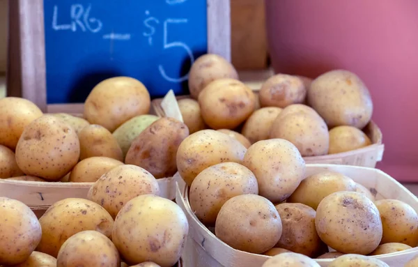 Świeżo Wykopane Ziemniaki Sprzedawane Przez Koszyk Tym Targu Michigan Usa — Zdjęcie stockowe
