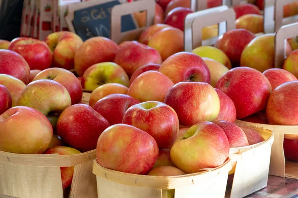 Contenedores Manzanas Frescas Michigan Están Venta Esta Exhibición Saludable Del —  Fotos de Stock